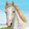 Bodacious Bo logo